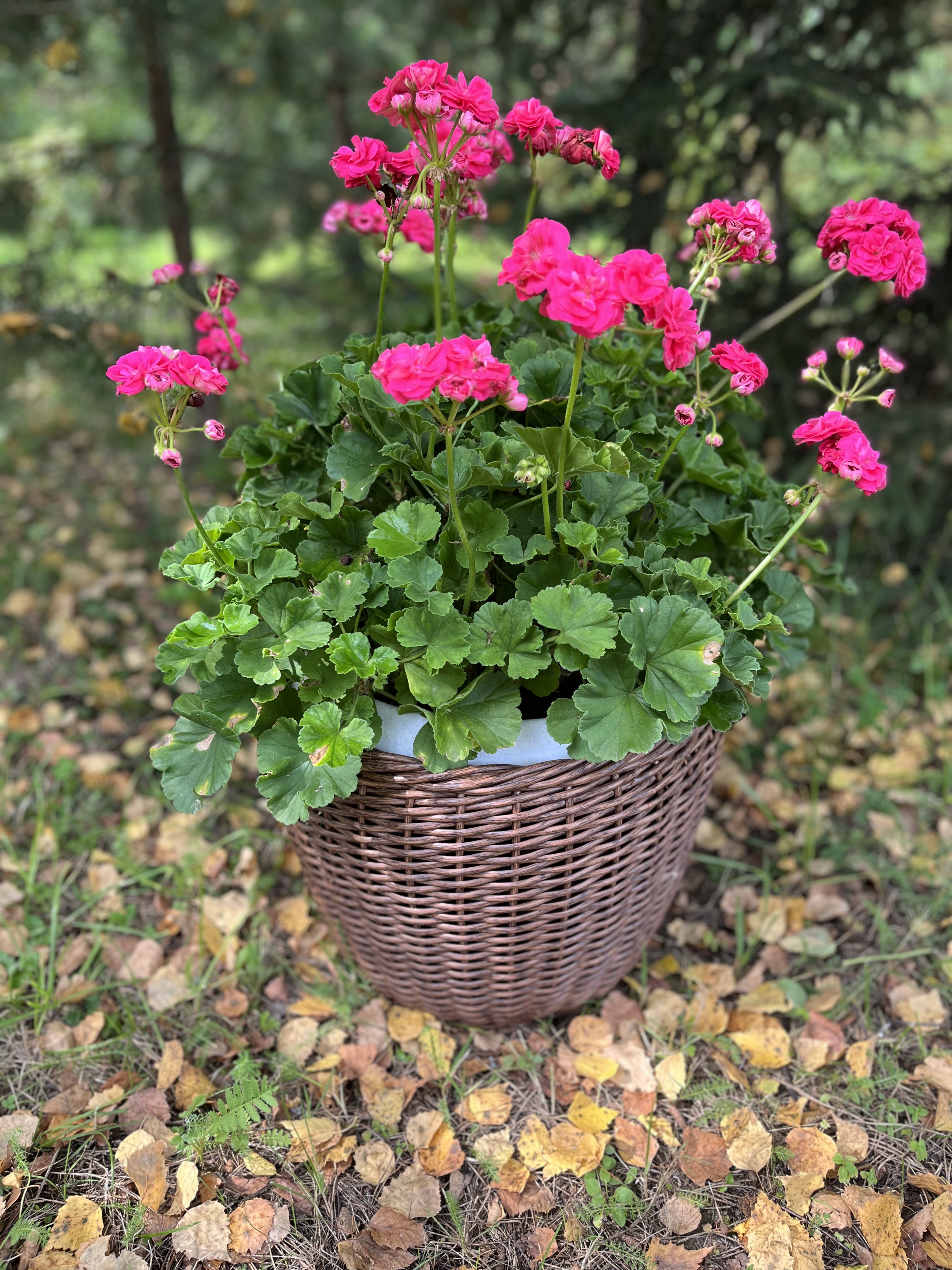 Кашпо из искусственного ротанга орех 20 литров