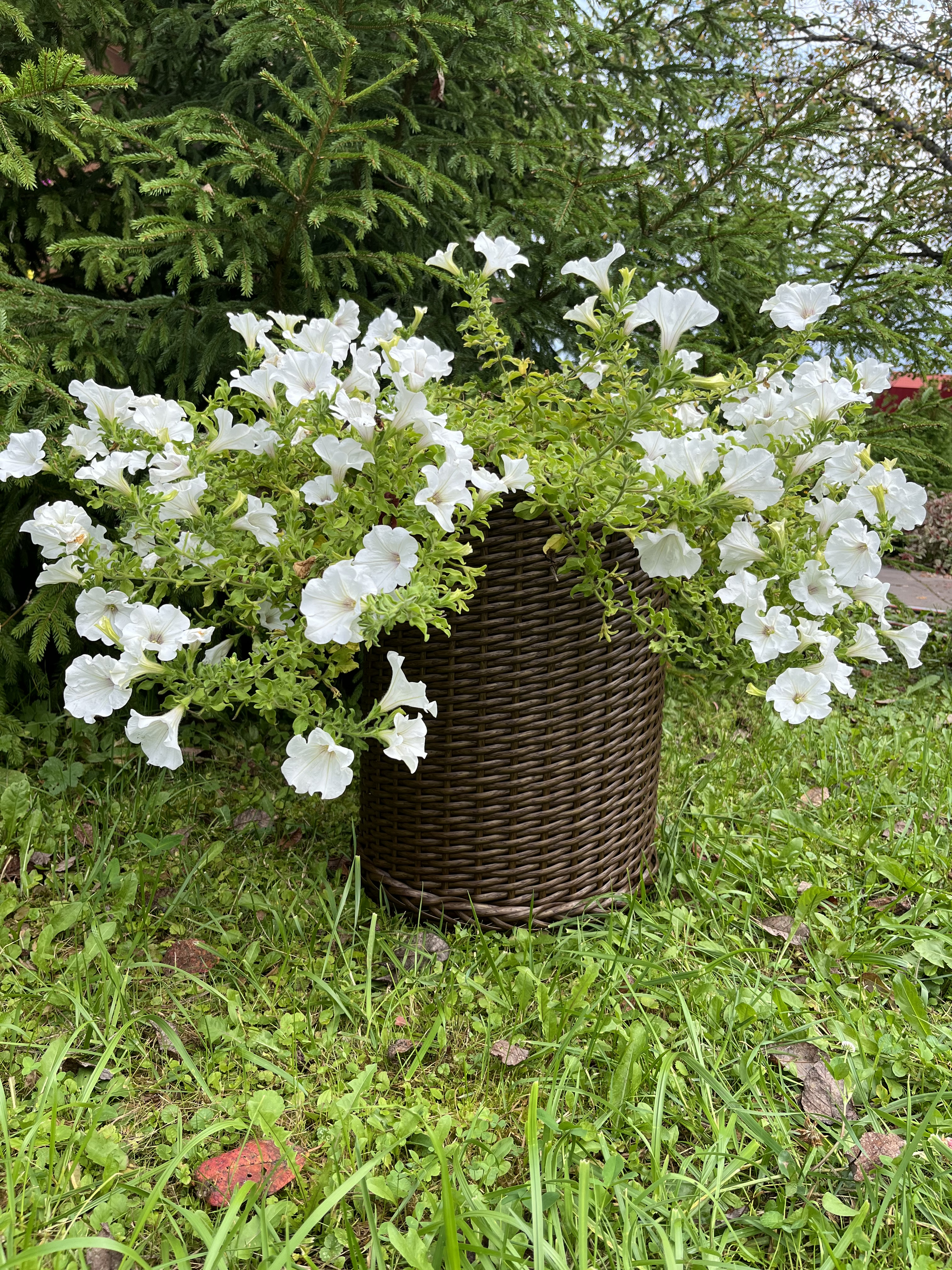 Кашпо цилиндр из искусственного ротанга бронзовый орех 32 литра