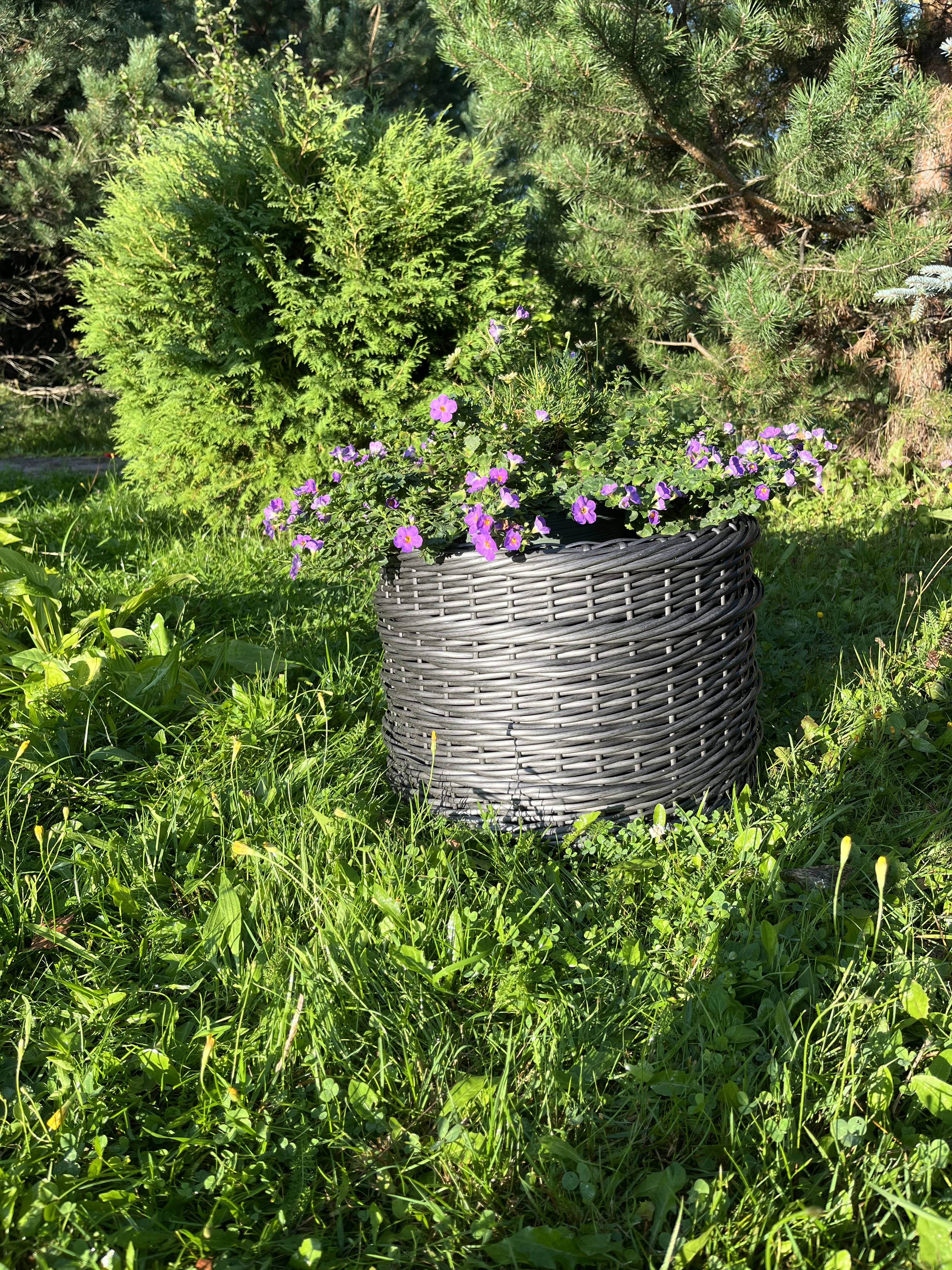 Кашпо низкий цилиндр из искусственного ротанга серебряный дуб 20 литров