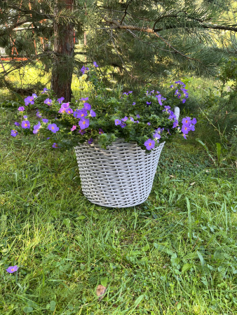 Кашпо из искусственного ротанга березка 12 литров луковая корзина