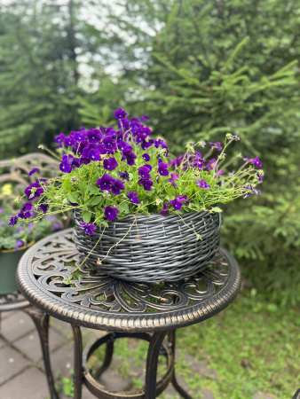 Кашпо цветочная корзина из искусственного ротанга серебряный дуб 9 литров