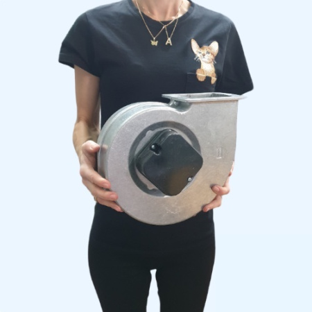 BDRAS 160-60 Bahcivan Вентилятор центробежный нагнетательный радиальный