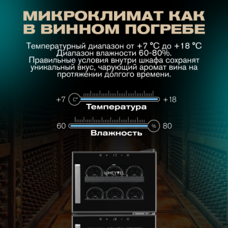 MV21-BF2 (easy) Meyvel Винный шкаф