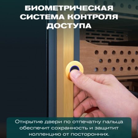 MC-376BK (PRO) Meyvel Хьюмидор шкаф