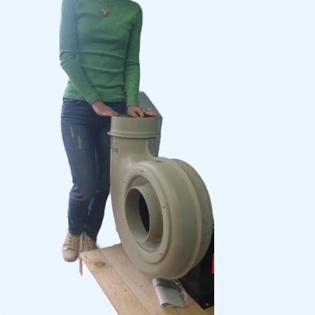 CMPT/4-200 PP Soler&Palau Вентилятор для агрессивной атмосферы