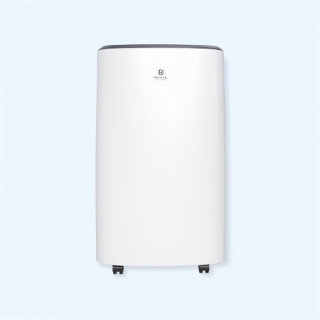 RD-CR16-E Royal Clima Осушитель воздуха серии CARISMA Loft