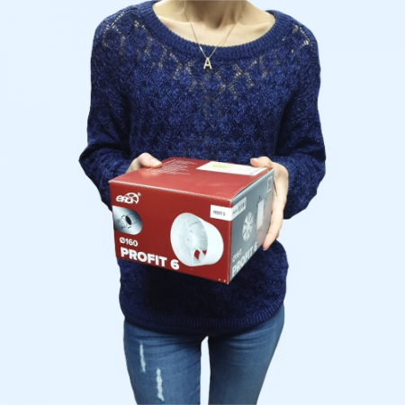 PROFIT 6 BB ЭРА (ERA) Вентилятор канальный D160 осевой двигатель BB