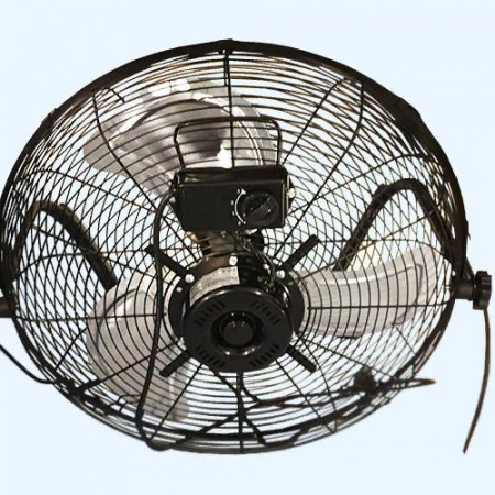 BIF-8BB Ballu Вентилятор напольный