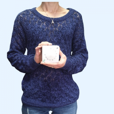 REB-ECOWATT Soler&Palau Регулятор скорости