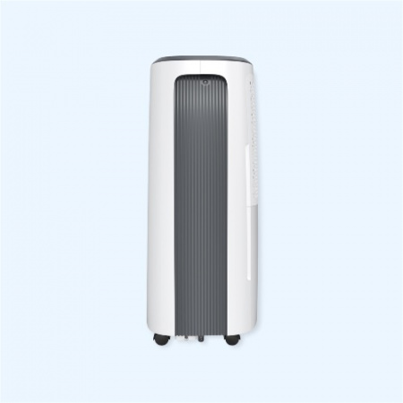 RD-CR20-E Royal Clima Осушитель воздуха серии CARISMA Loft