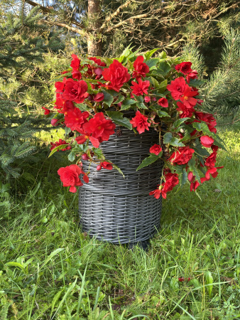 Кашпо цилиндр из искусственного ротанга серебряный дуб 24 литра