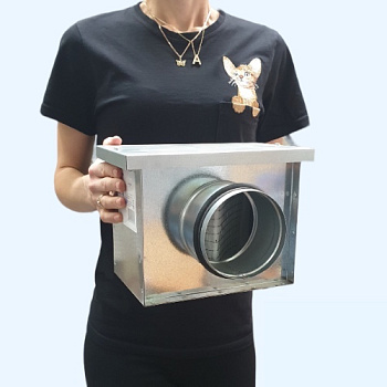 FBCr 100 Shuft Фильтр-бокс (корпус с материалом)