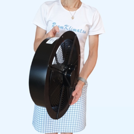 BDRAX 350-2K BAHCIVAN Осевой вентилятор на круглом фланце