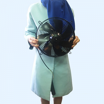 S2E250-AL06-01 Ebmpapst Вентилятор осевой