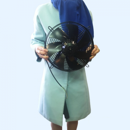 S2E250-AL06-01 Ebmpapst Вентилятор осевой