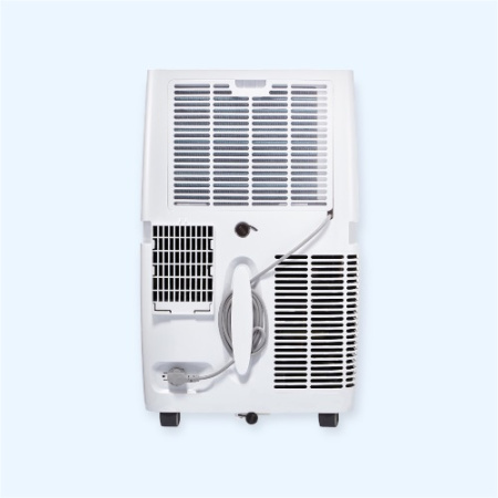 EACM-12 GT/N6 Bliss Art Electrolux Кондиционер мобильный