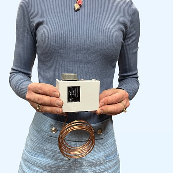 TS-2 LEFOO Реле температуры 2 метра