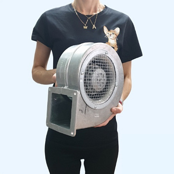 BDRAS 160-60 Bahcivan Вентилятор центробежный нагнетательный радиальный