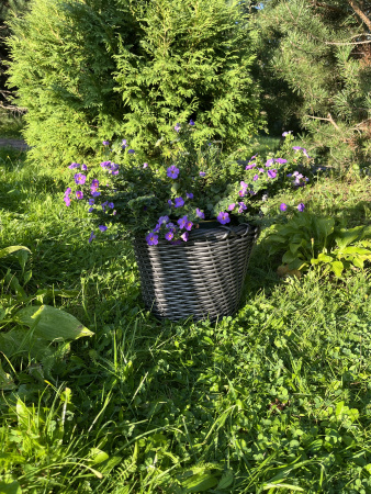 Кашпо из искусственного ротанга серебряный дуб 12 литров луковая корзина