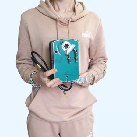 LB220-05SR LAMPRECHT Электроприводы LAMPRECHT с возвратной пружиной