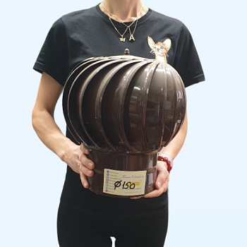 ТД-150к Турбодефлектор окрашенный