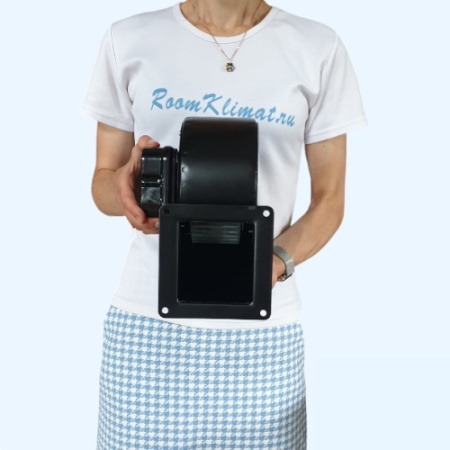 BDRS 140-60 Bahcivan Вентилятор центробежный нагнетательный радиальный