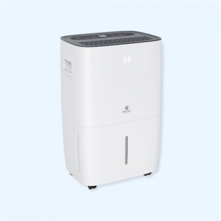 RD-CR30-E Royal Clima Осушитель воздуха серии CARISMA Villa