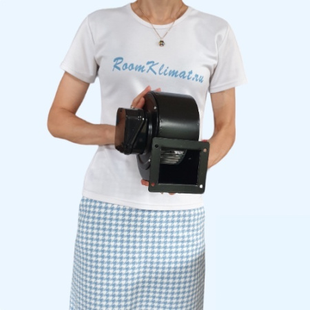 BDRS 120-60 Bahcivan Вентилятор центробежный нагнетательный радиальный