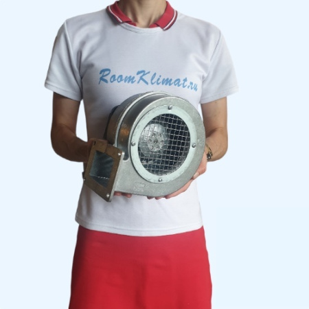 BDRAS 120-60 Bahcivan Вентилятор центробежный нагнетательный радиальный