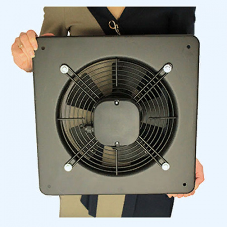 STORM 250 ERA PRO Вентилятор накладной D250 2 полюс